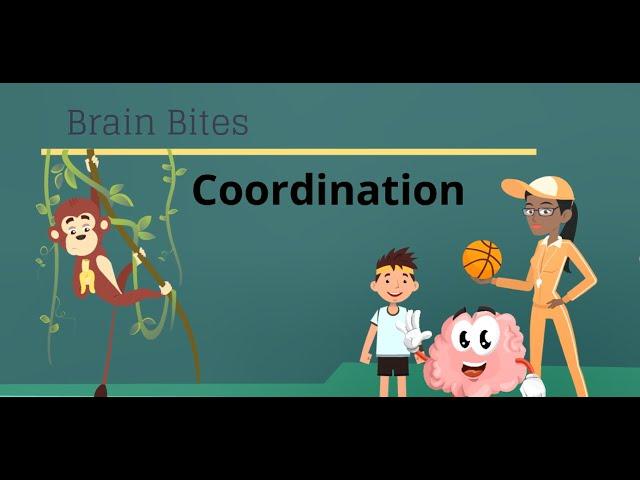 Brain Bites - Coordination