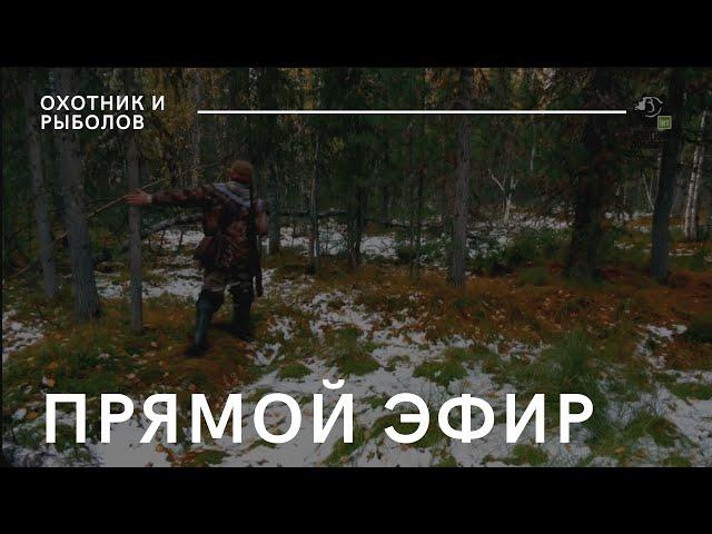 Телеканал «Охотник и рыболов»