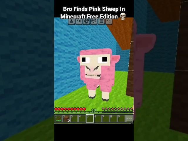 Bro Finds Pink Sheep In Minecraft Free Edition  #shorts