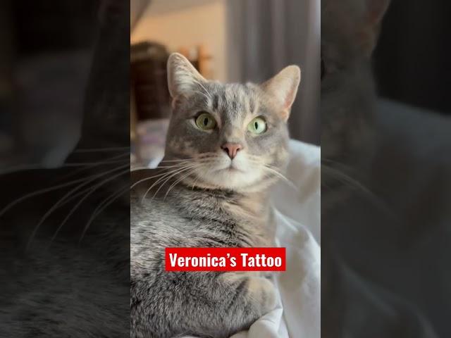 Veronica’s Tattoo