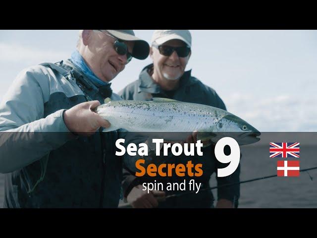 Sea Trout Secrets 9 - spin and fly