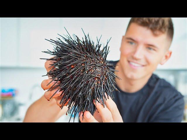 Eating Live Sea Urchin