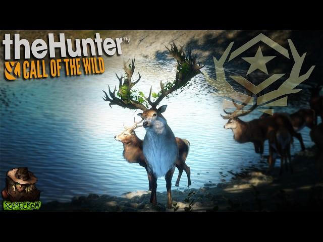 Diamond Every 8 Kills = Great One Red Deer With The Gandhare Rifle! Call of the wild