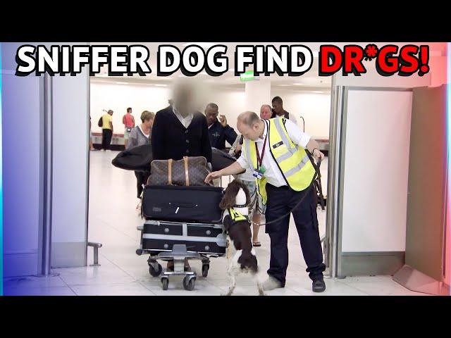 Customs Sniffer Dogs Find Dr*gs At The Airport!