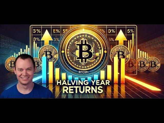 Bitcoin: Halving Year Returns