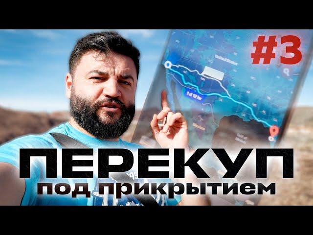 Warstory в LA. Движуха антикварная. Перекуп под прикрытием #3