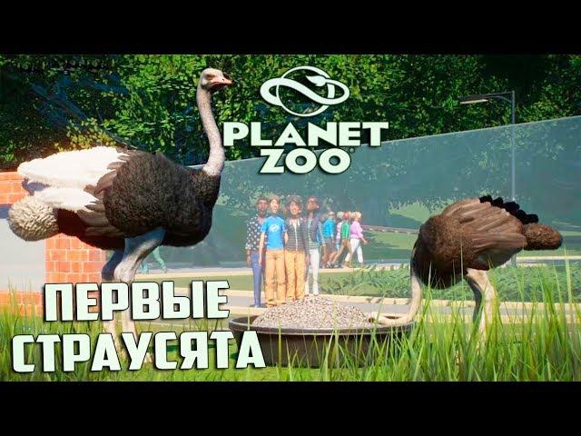 СТРОИМ ЗООПАРК С НУЛЯ - PLANET ZOO Франшиза #1