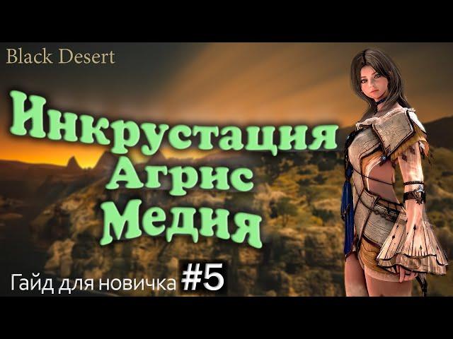 №5 Инкрустация Агрис Пробуда или Наследие Гайд для новичка в Black Desert 2023