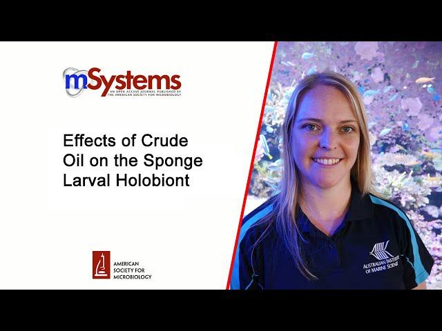 Effects of Crude Oil on the Sponge Larval Holobiont