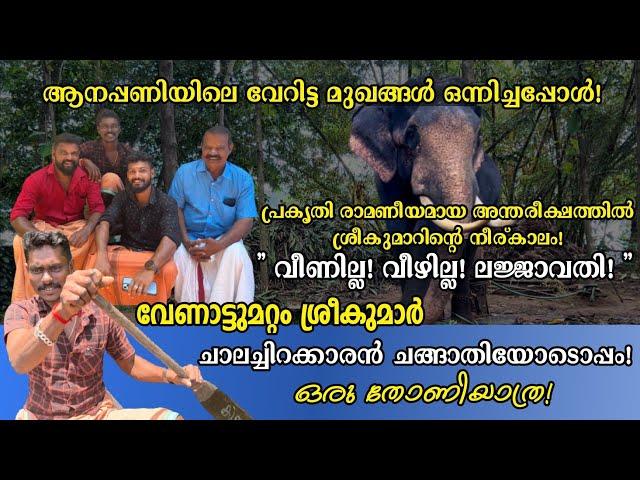 " വീണതല്ല സാഷ്ടാങ്കം പ്രണമിച്ചതാ..!! '' ലജ്ജവതി വീണ്ടും!  വേറിട്ട ആനക്കാര്യം!! MK Channel