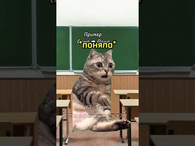 Буква обманула учеников  #мем #котики