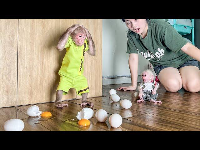 Bibi had a trouble trying to help Mom boil eggs for the baby monkey to enjoy!