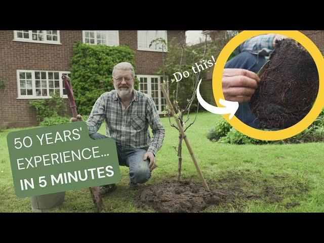 How to Plant a Tree: 5 steps from the UK's top tree growing expert