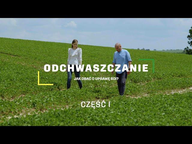Zabiegi odchwaszczania w uprawie soi cz.1