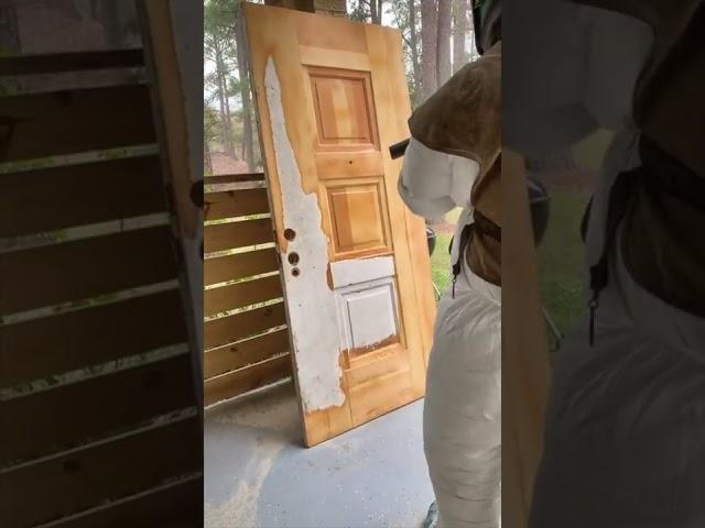 Paint Removal From Old Door  #shorts