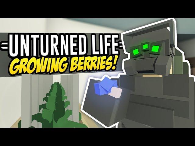 GROWING BERRIES - Unturned Life Roleplay #235