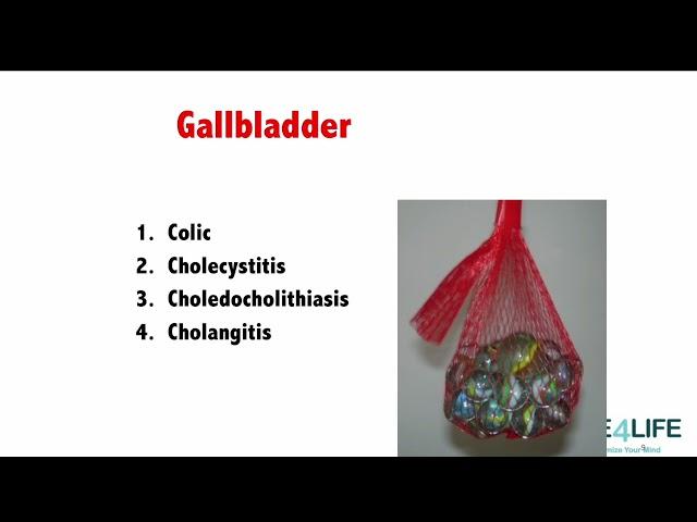 PANRE Prep: Biliary Question Solution