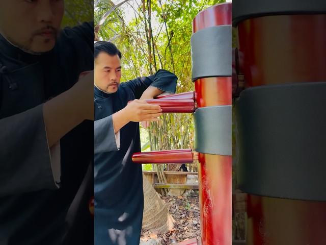 Train flexibility of the arms and wrist #martialarts #vothuat #wingchun #kungfu #masterphan #karate