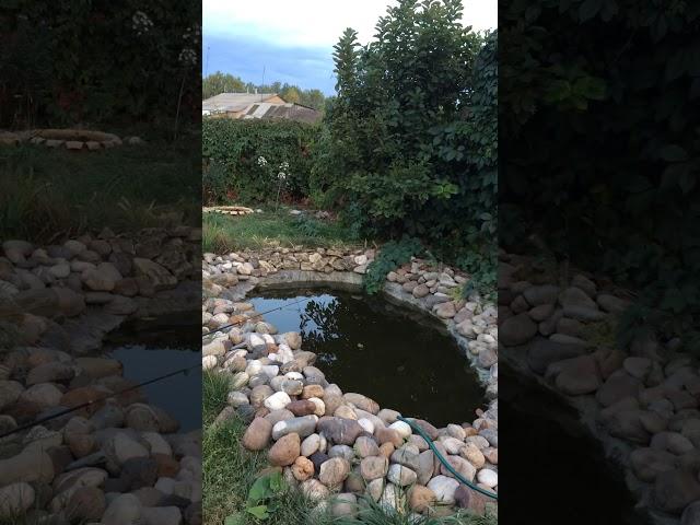 Рыбалка во дворе. Сазанчик