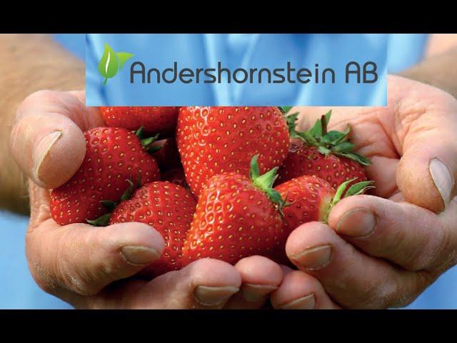 Nordisk Bärkonferens Andershornstein AB