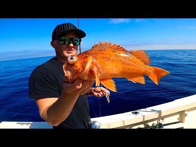 Fishing and Camping Catalina Island on Labor Day Weekend!