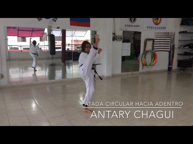 Artes Marciales Tatgun -Programa de Blanco -Patadas (Chaguis)