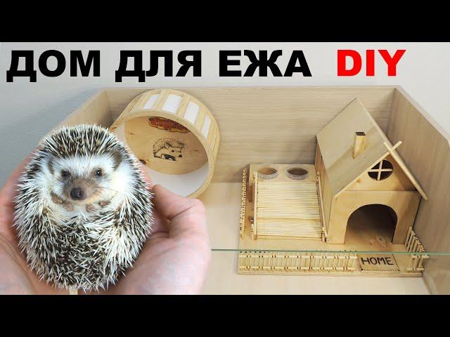 Карликовый ёж. Как сделать идеальную клетку для африканского ежа | Hedgehog house DIY.