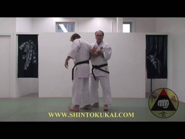 Okinawa Shorin-ryu Karate: Parent Style of Shotokan (clip 2)