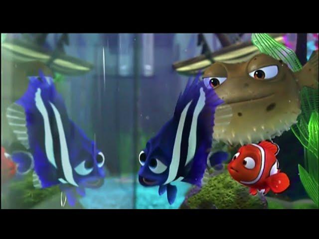 Finding Nemo (2003) Nemo Meets The Tank Gang