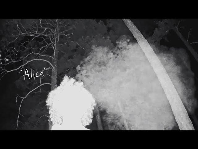 Rhys - Alice (Lyric Video)