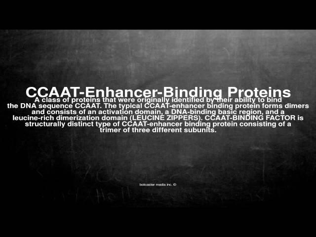 Medical vocabulary: What does CCAAT-Enhancer-Binding Proteins mean