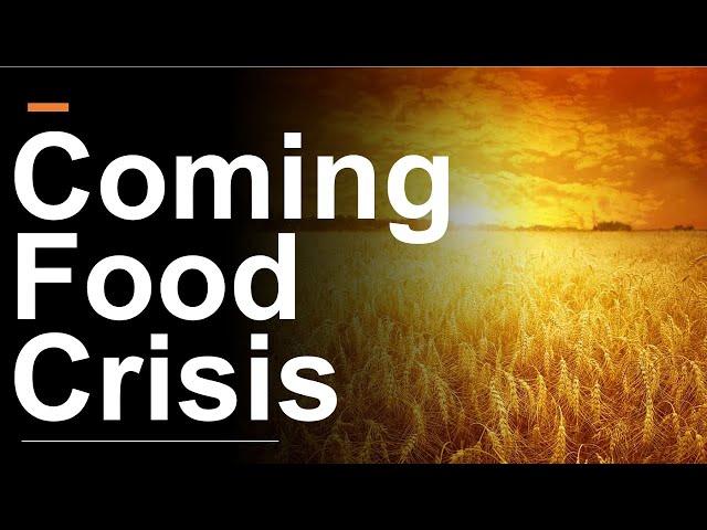 The Global Food Crisis: How to Profit