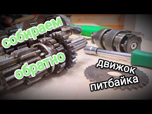 Pitbike engine assembly