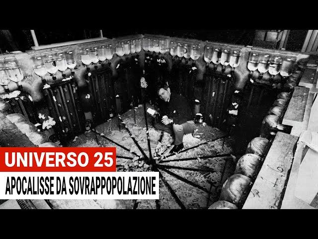 Universo 25: l’Apocalisse da Sovrappopolazione in un Esperimento per Topi