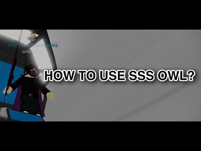 how to use SSS-OWL techniques [RO-GHOUL]