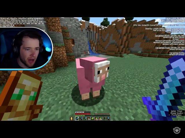 Dantdm find a 0.164% natural pink sheep