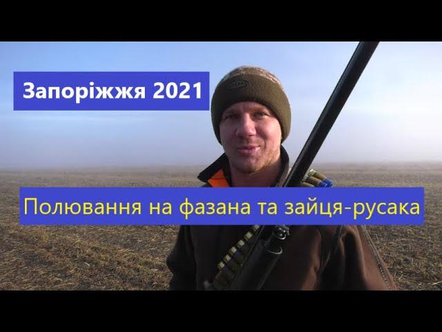 Полювання на фазана та зайця-русака | Запоріжжя 2021 | Ни пуха, ни пера!