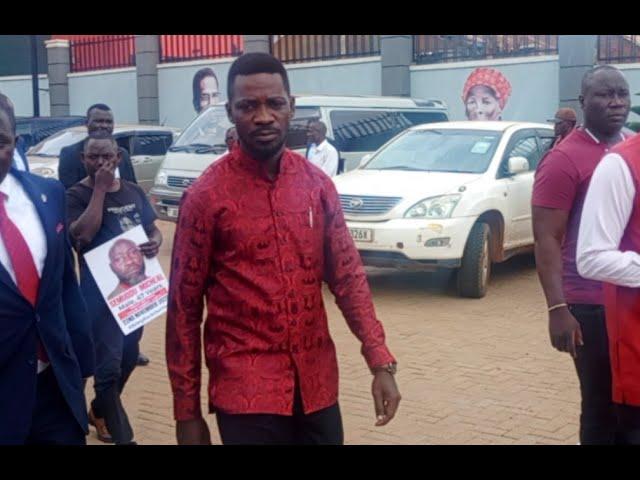 BOBI WINE LIVE