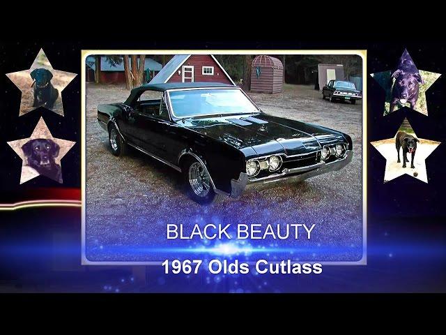 BLACK BEAUTY _ 455 cubic inch 1967 Olds Cutlass hot rod muscle car _ WOW!