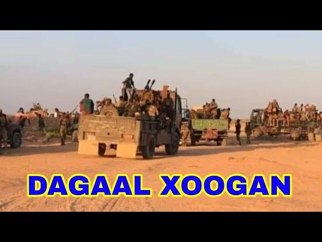 DEG DEG AH;-Beesha Sacad Oo Dagaal Culus Ku Soo Qaadeen Daarood Iyo Habargidir Oo Loo Diray Fariin L