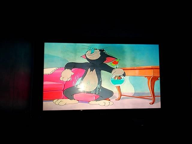 Tom and Jerry Fandubs (A Mouse In the House)