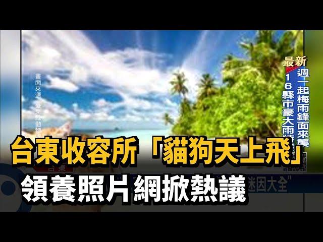 台東收容所「貓狗天上飛」　領養照片網掀熱議－民視新聞