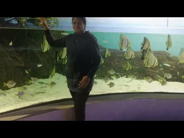 Odysseo Oceanarium Mauritius 27.08.2022