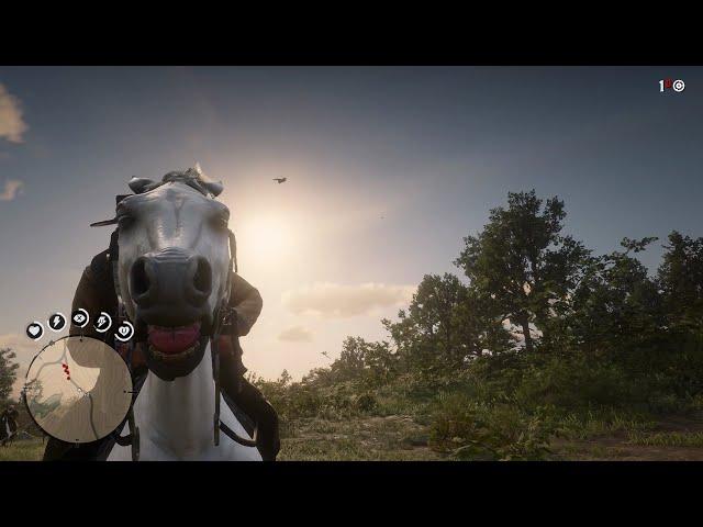 RDR2 - Cowboy Space Program