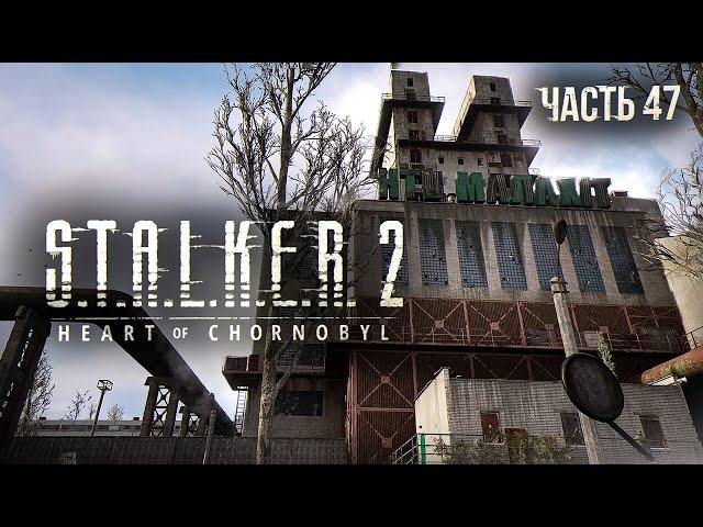 S.T.A.L.K.E.R. 2 Heart of Chornobyl Прохождение # 47. НТЦ "Малахит"