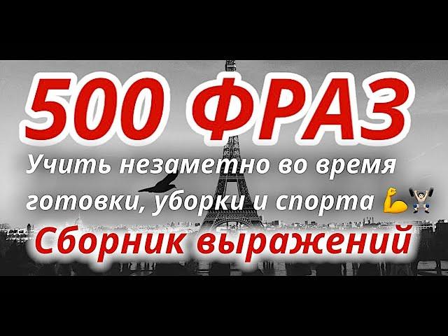 ФРАНЦУЗСКИЙ ЯЗЫК ВО СНЕ СЛУШАТЬ 500 РАЗГОВОРНЫХ ФРАЗ ПЕРЕД СНОМ