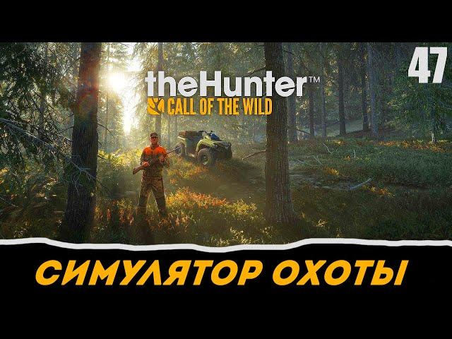 theHunter: Call of the Wild прохождение на русском. Часть 47 - Федеральная экослужба (Бурый медведь)