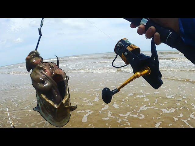 This is Why You Throw BIG BAITS In the Surf!