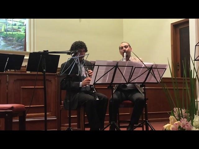 Dueto n. 1_ - Allegro Moderato - W.A. Mozart  - Matteo Ricciardi e Alexandre Silva