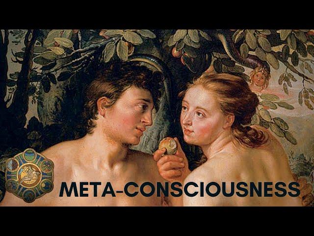 What is Meta-Consciousness? | Bernardo Kastrup & Jonathan Pageau